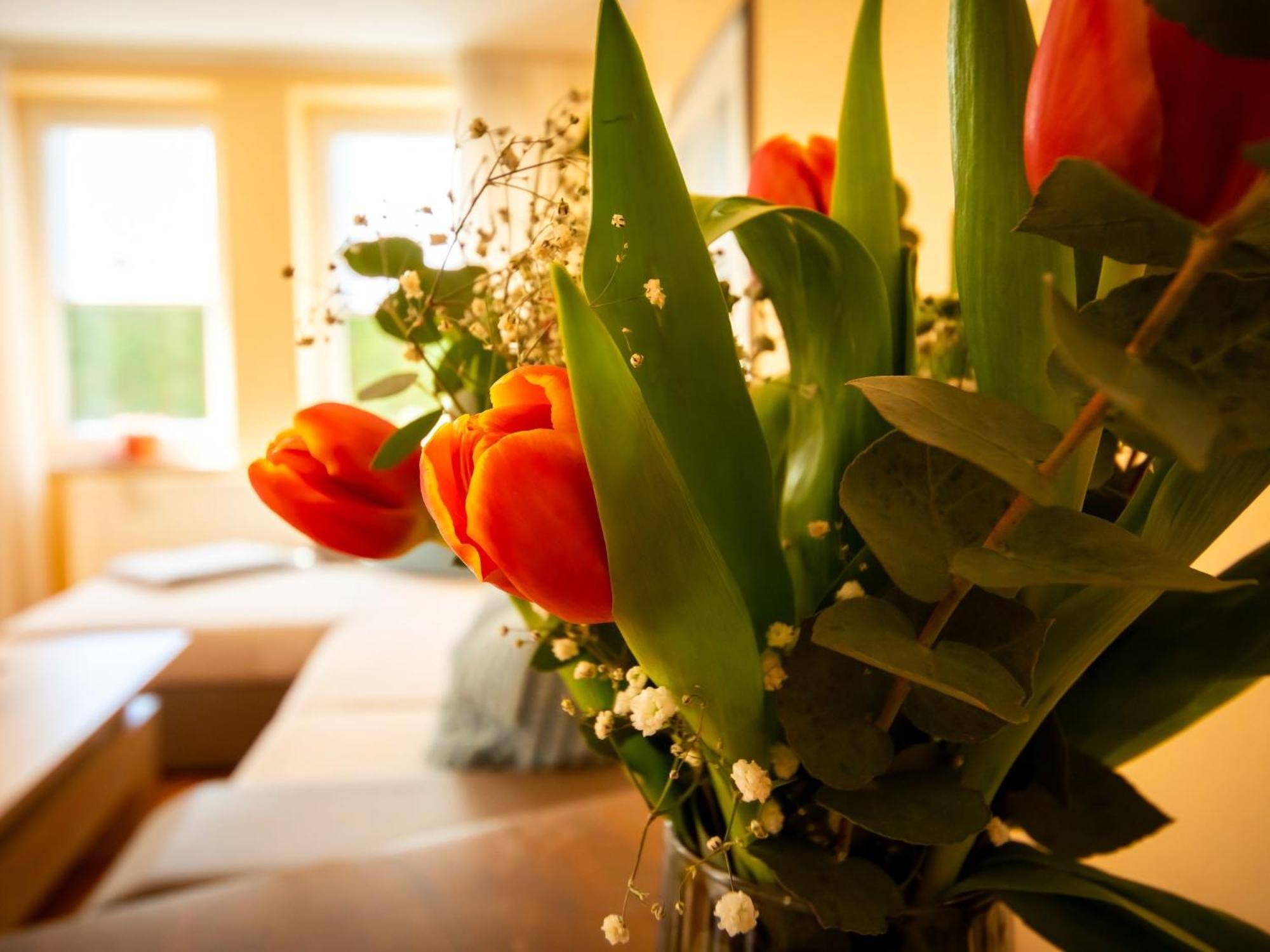 Holiday Home Mia By Interhome Lügde Εξωτερικό φωτογραφία